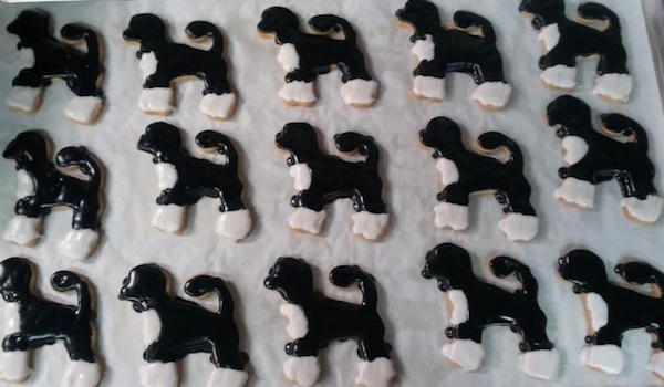 dog cookies